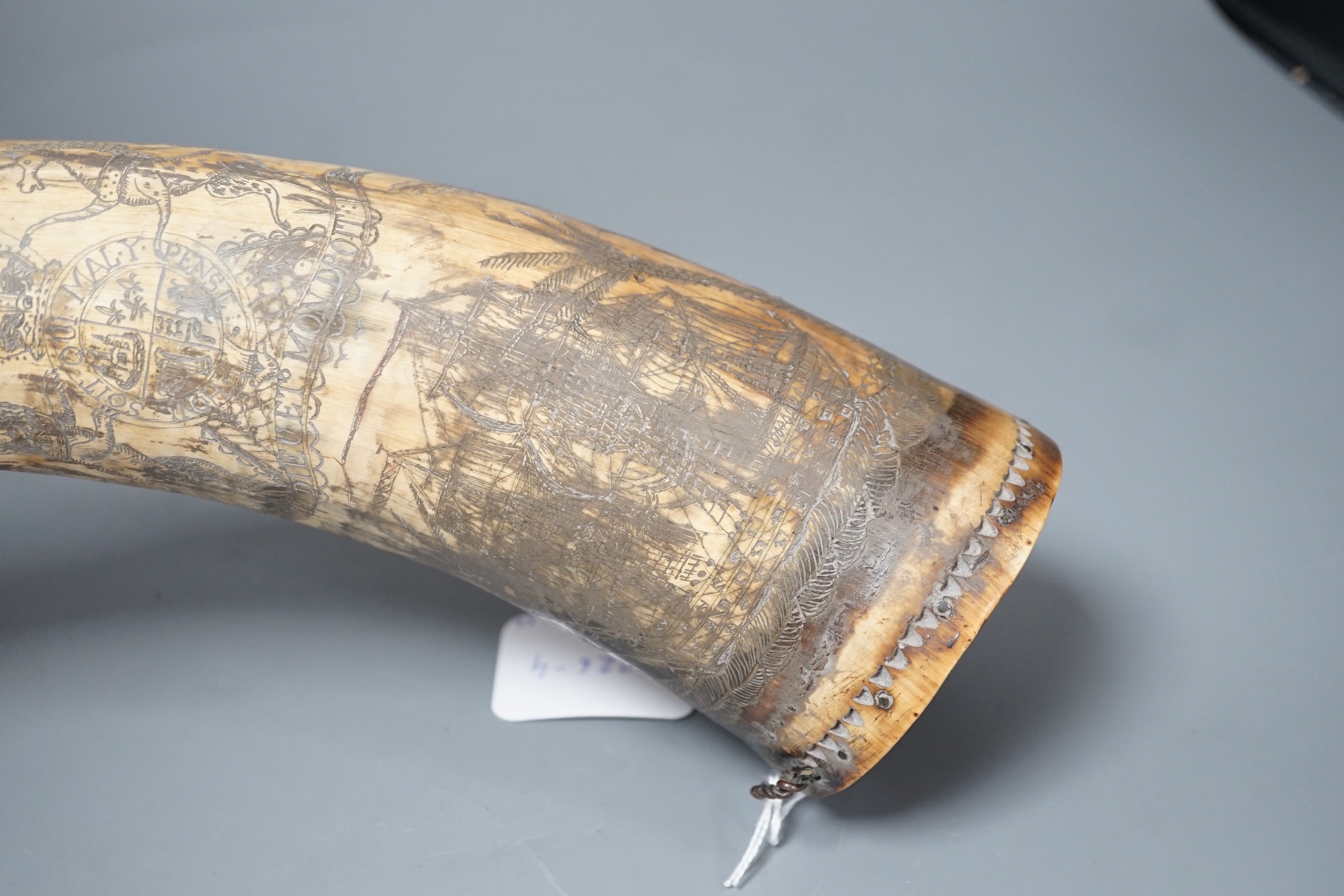 An early 19th century scrimshaw powder horn, ornately engraved with the Royal Coat of Arms, a castle and galleon and an inscription: Amos Mills. 38cms long.